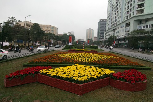 Một góc đường Liễu Giai được trang trí bởi hoa cúc và trạng nguyên.